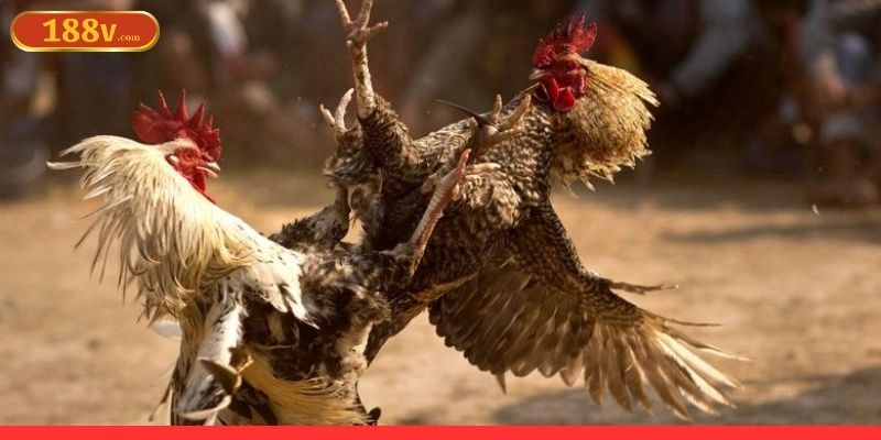 Các lỗi phổ biến khi triển khai chiến lược