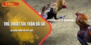 Thủ Thuật Soi Trận Đá Gà 188V | Dự Đoán Chính Xác Kết Quả